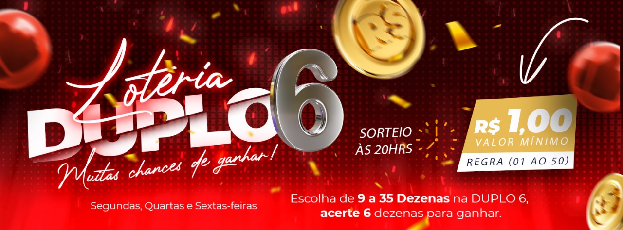 DUPLO6 3